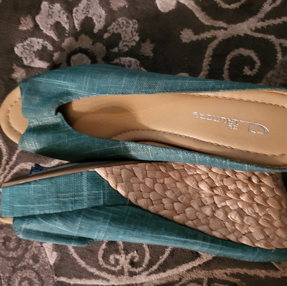 Teal wedge